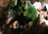 carlsbad-caverns