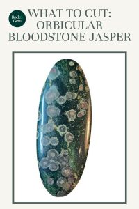 orbicular-bloodstone-jasper