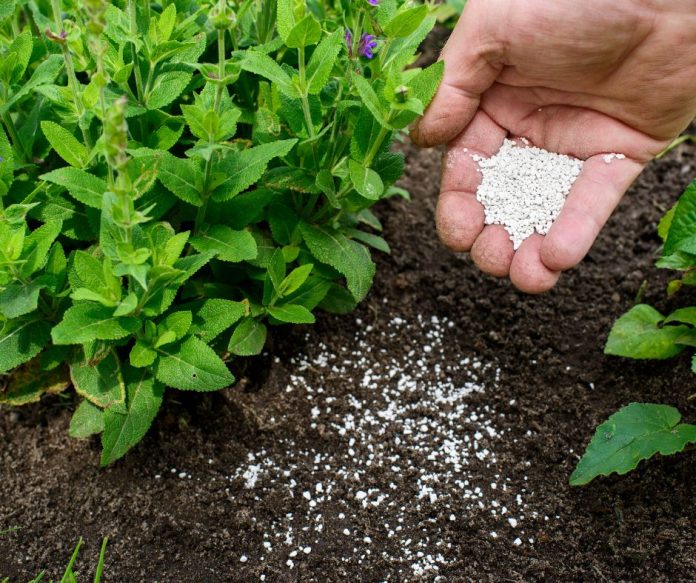 rocks-minerals-in-plant-growth