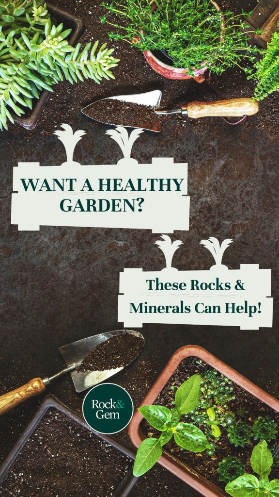 rocks-minerals-in-plant-growth