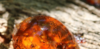 amber-stone