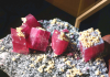 how-rare-is-rhodochrosite