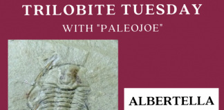 Trilobite of Week logo